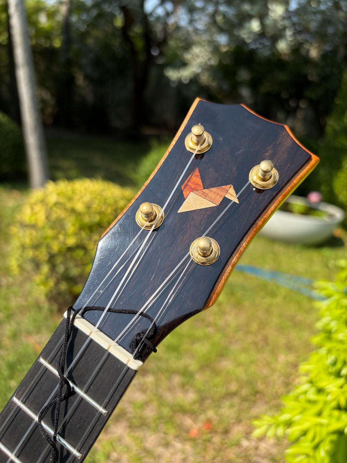 The Rebel Oppon Acacia Top& Sides, Spruce Back Soprano!