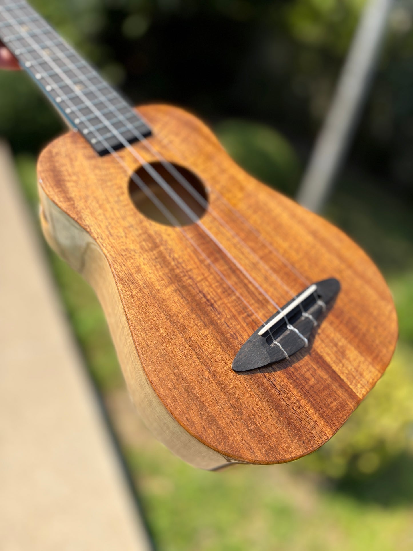 The Rebel Oppon Acacia Top& Sides, Spruce Back Soprano!