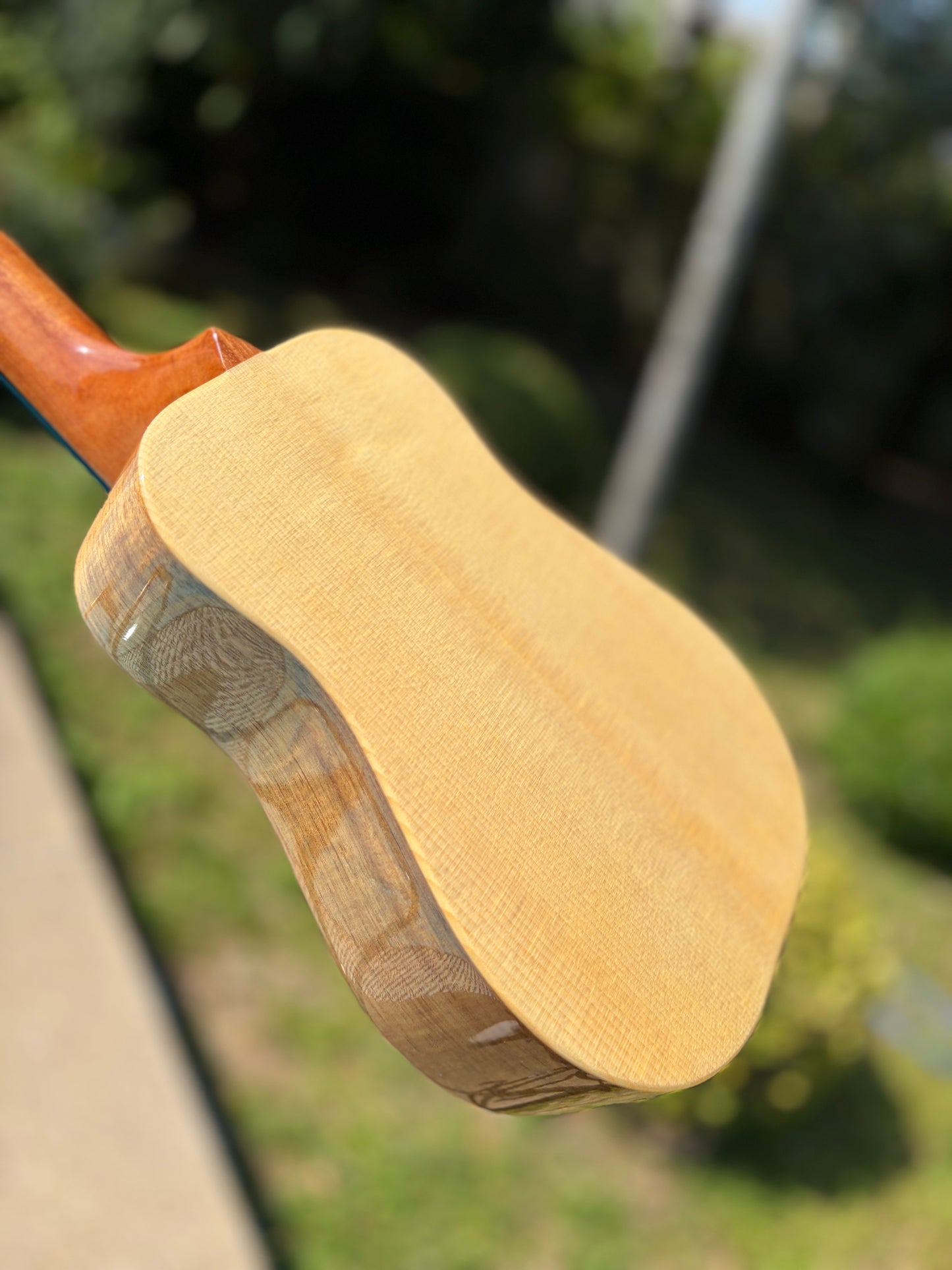The Rebel Oppon Acacia Top& Sides, Spruce Back Soprano!