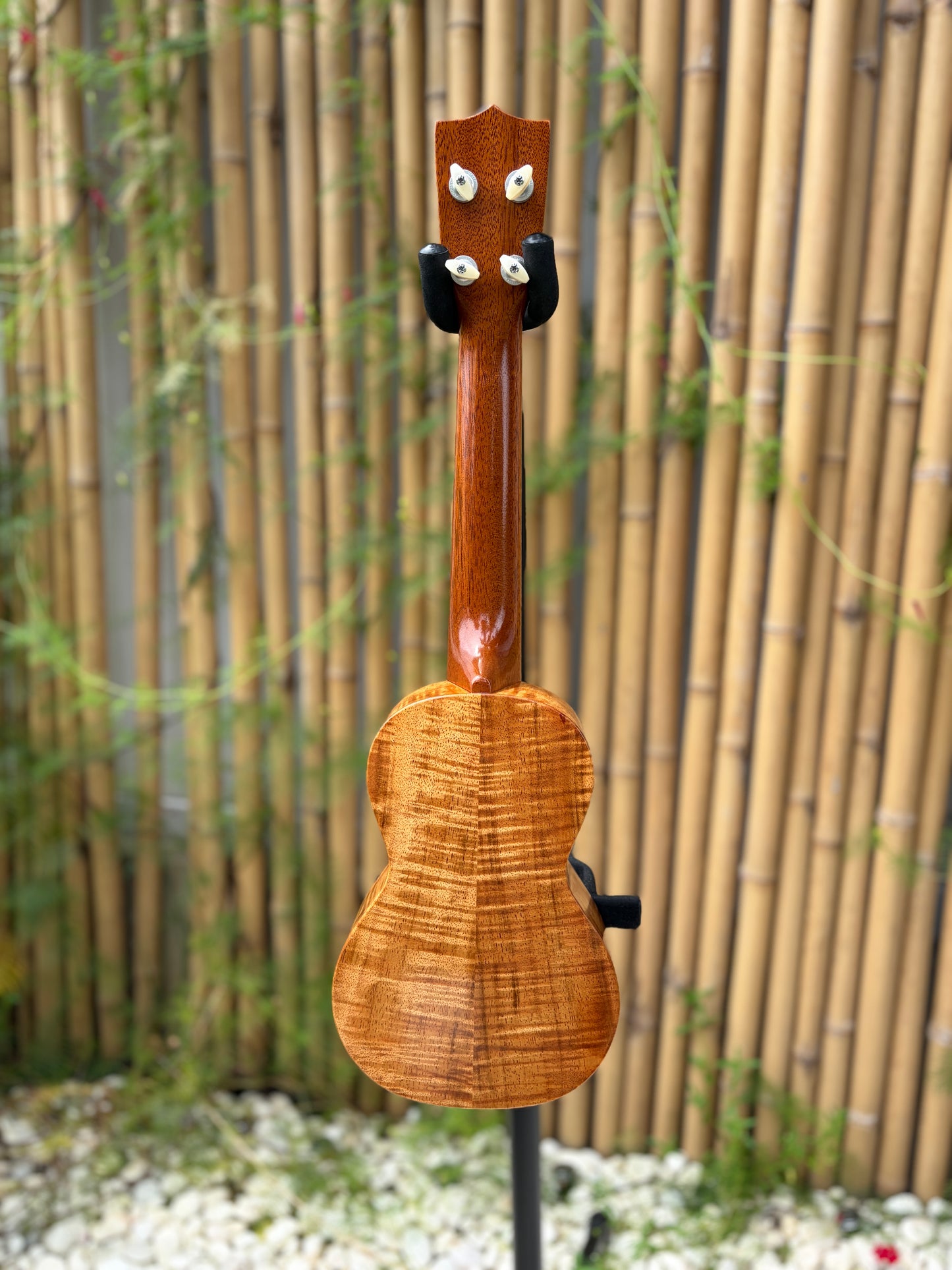 Tkitki curly koa soprano 14 frets