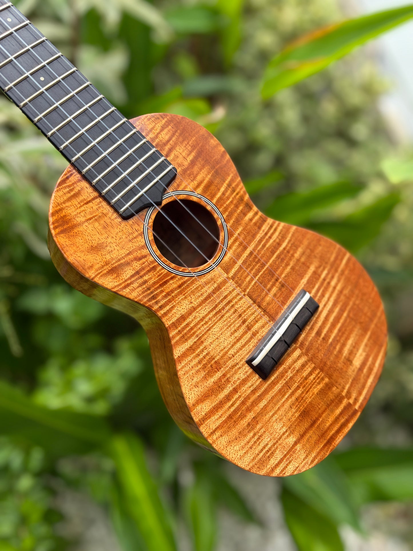 Tkitki curly koa soprano 14 frets