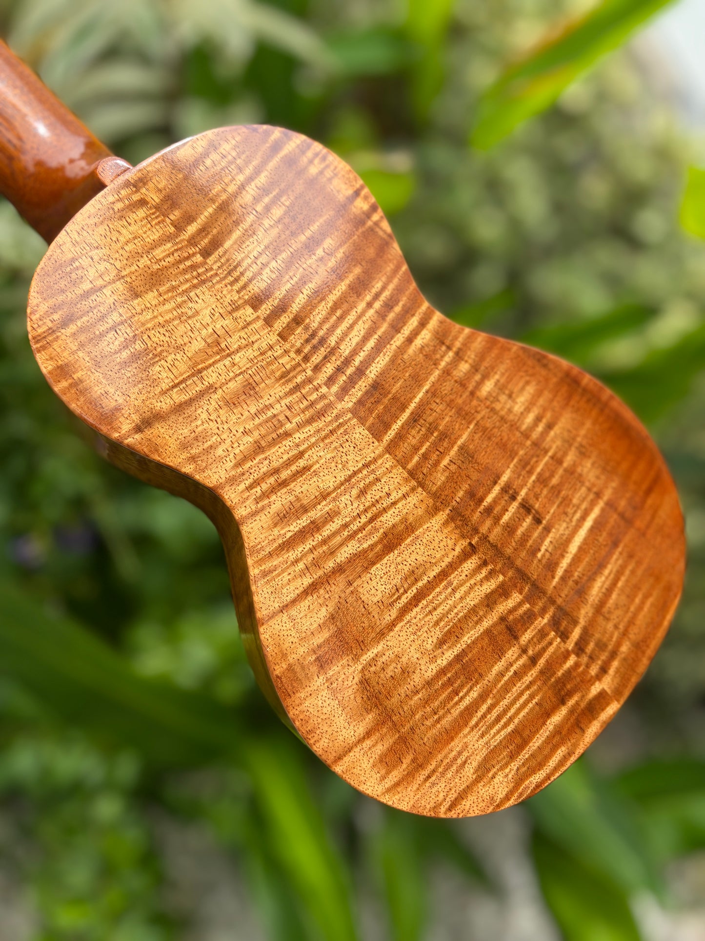 Tkitki curly koa soprano 14 frets
