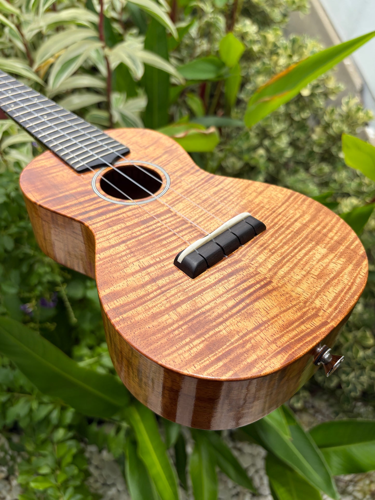 Tkitki curly koa soprano 14 frets