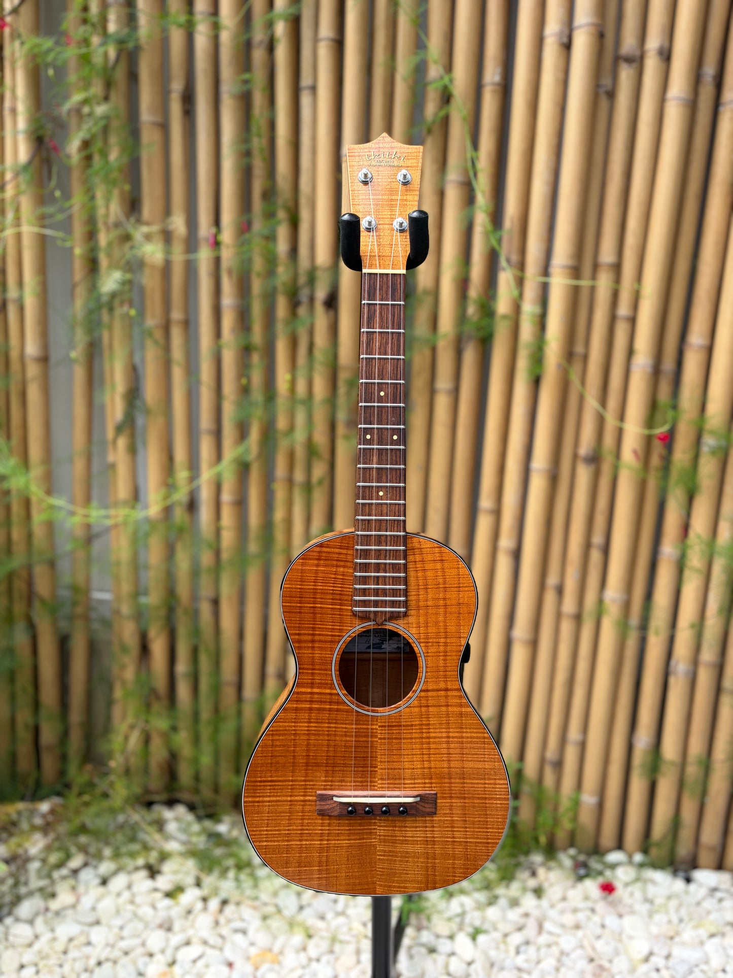 Tkitki Custom curly koa short scale tenor