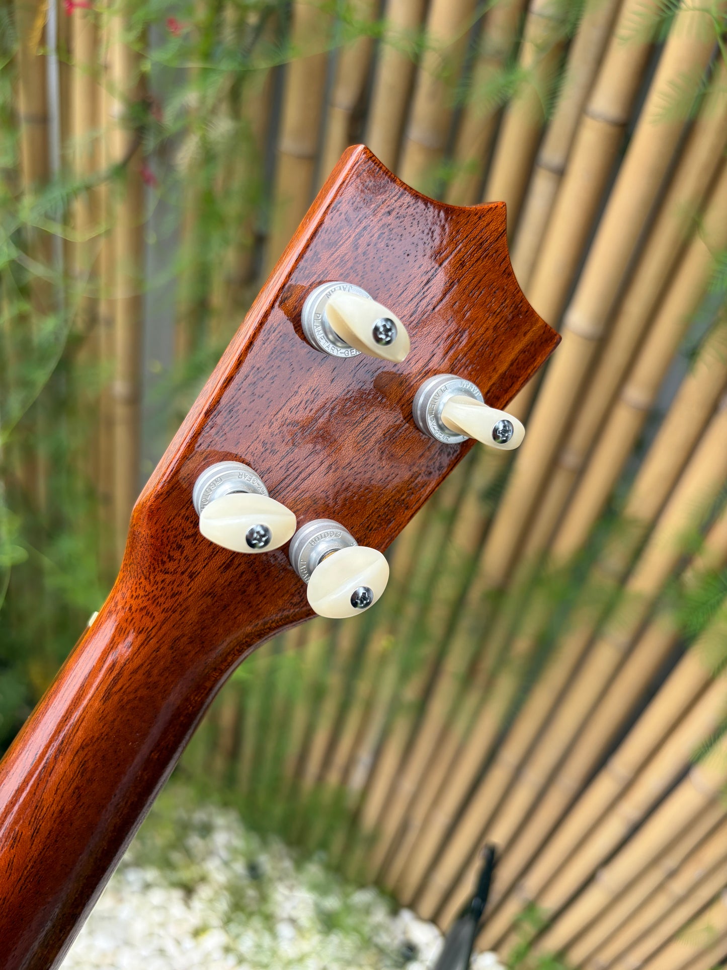 Tkitki Custom curly koa short scale tenor