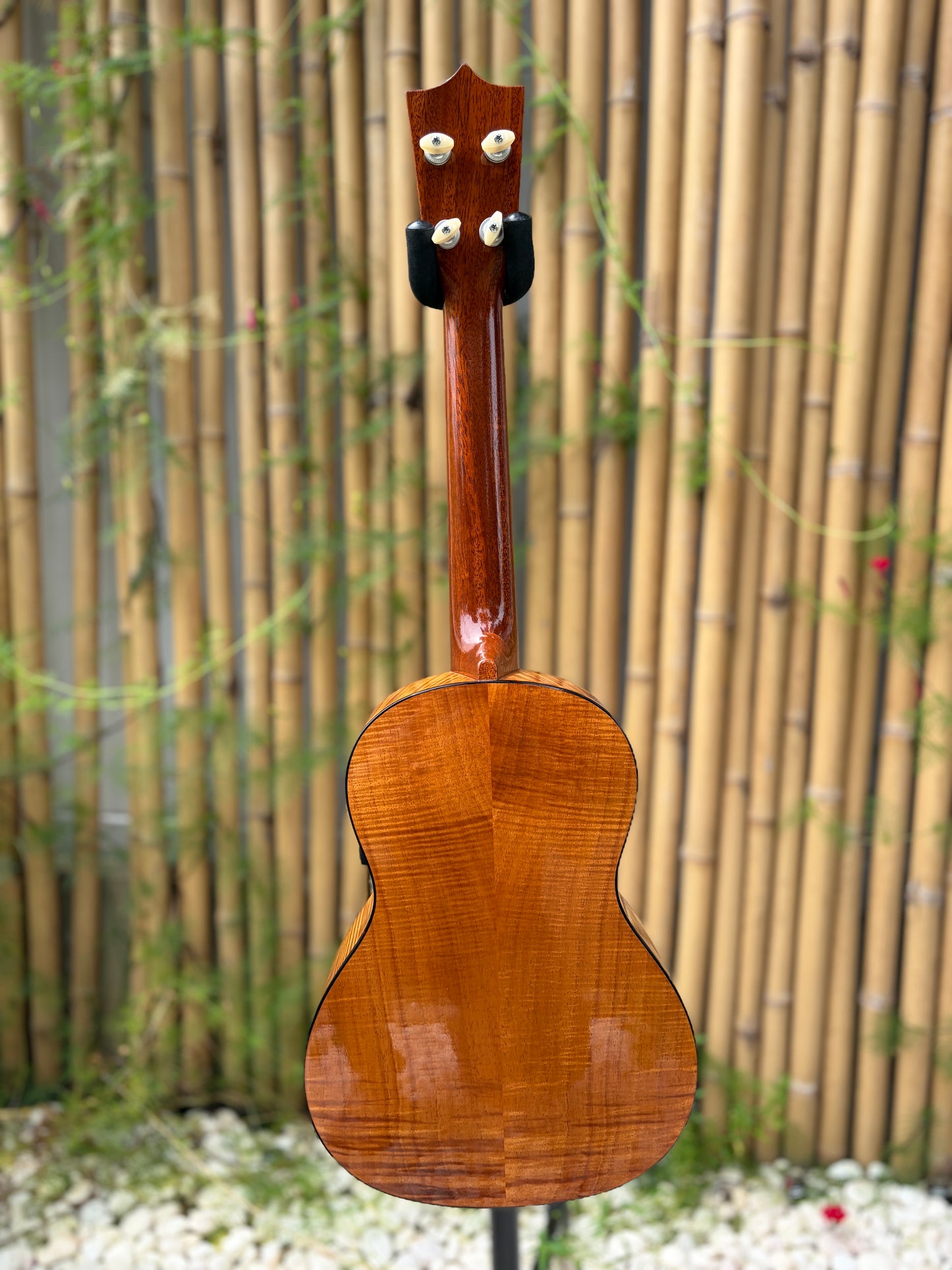 Tkitki Custom curly koa short scale tenor