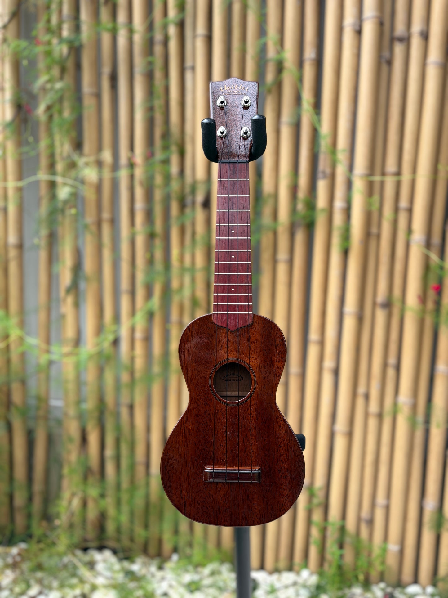 Tkitki mahogany soprano with jacaranda fretboard