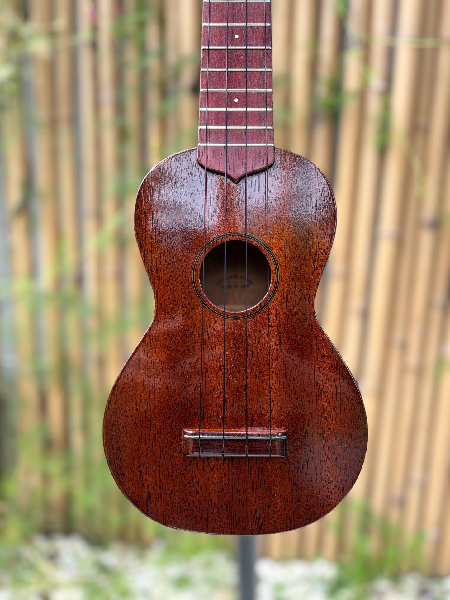 Tkitki mahogany soprano with jacaranda fretboard