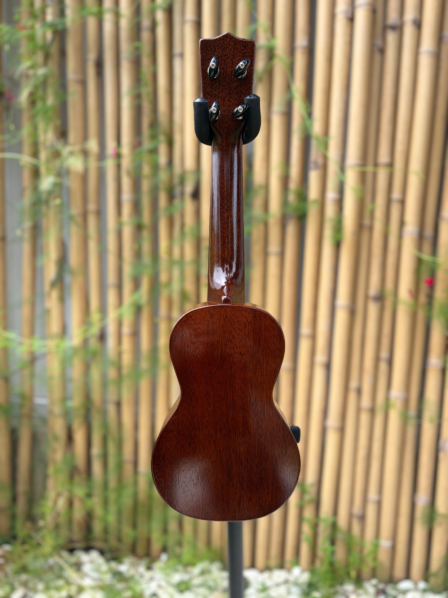 Tkitki mahogany soprano with jacaranda fretboard