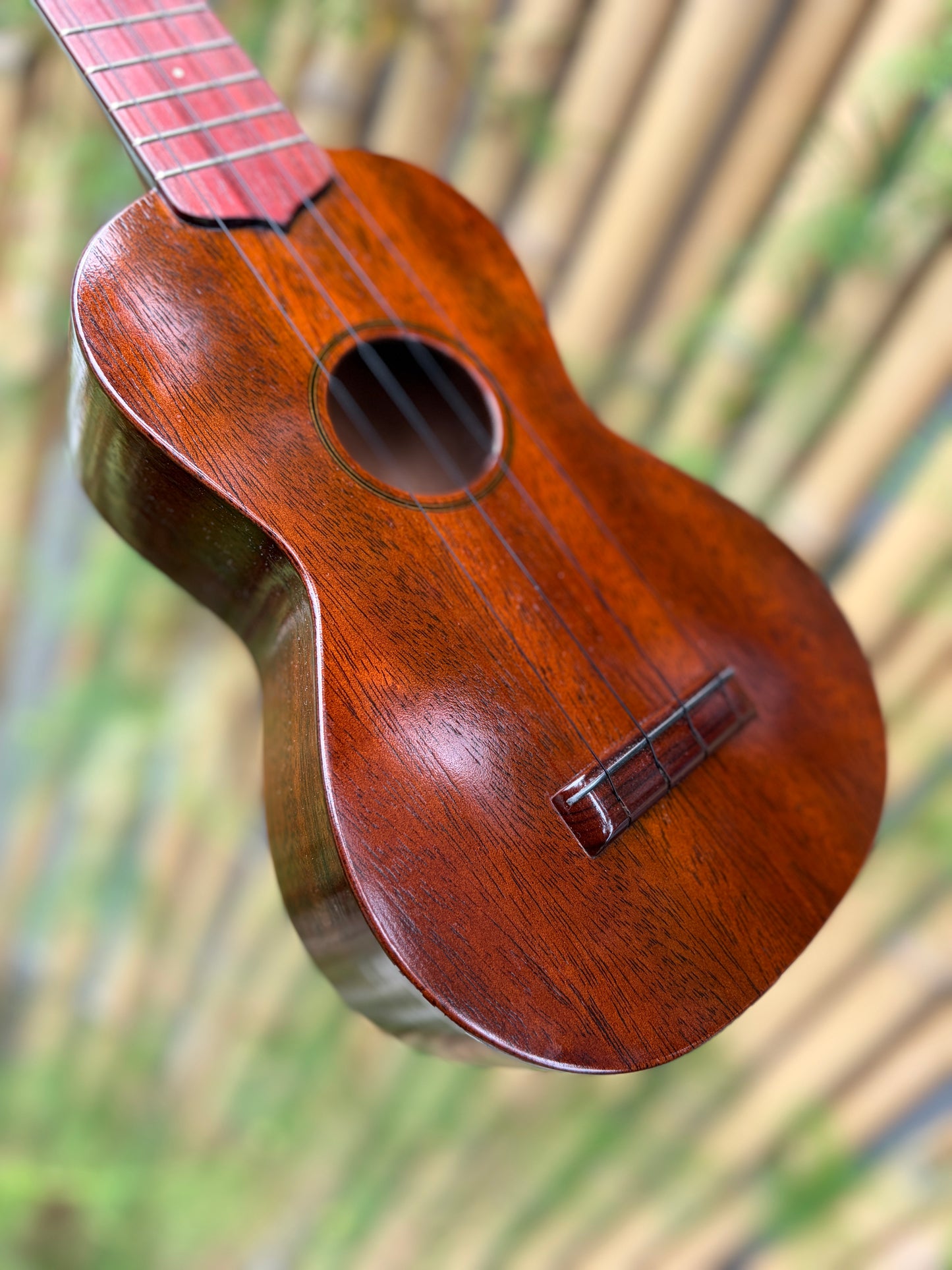 Tkitki mahogany soprano with jacaranda fretboard