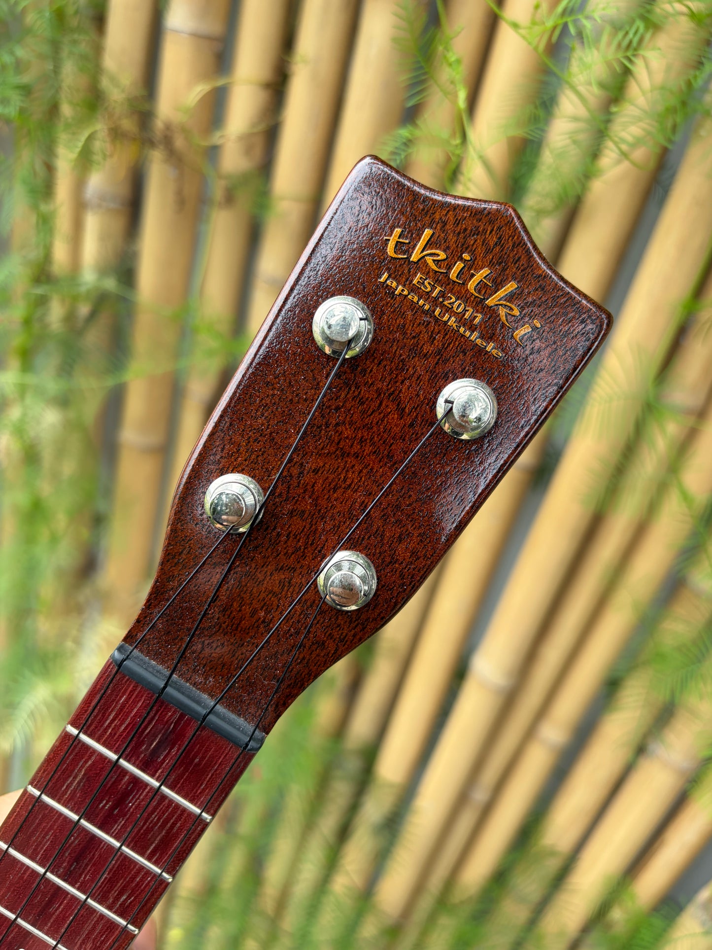Tkitki mahogany soprano with jacaranda fretboard