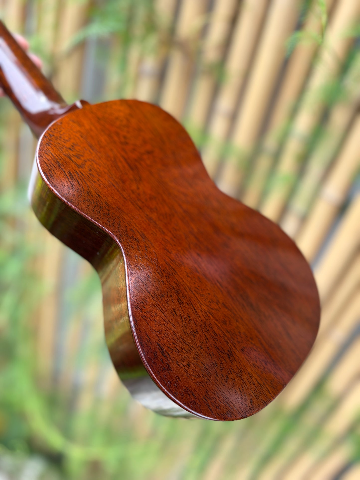 Tkitki mahogany soprano with jacaranda fretboard