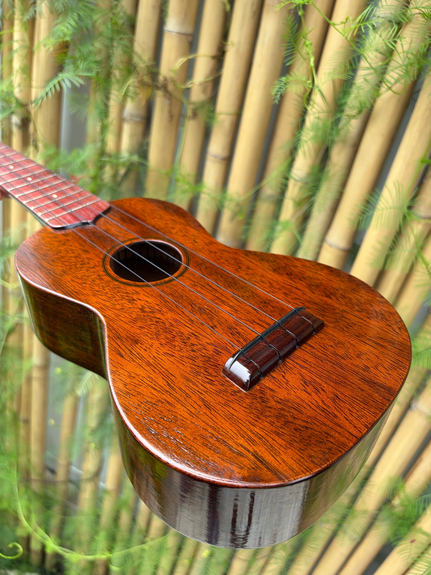 Tkitki mahogany soprano with jacaranda fretboard