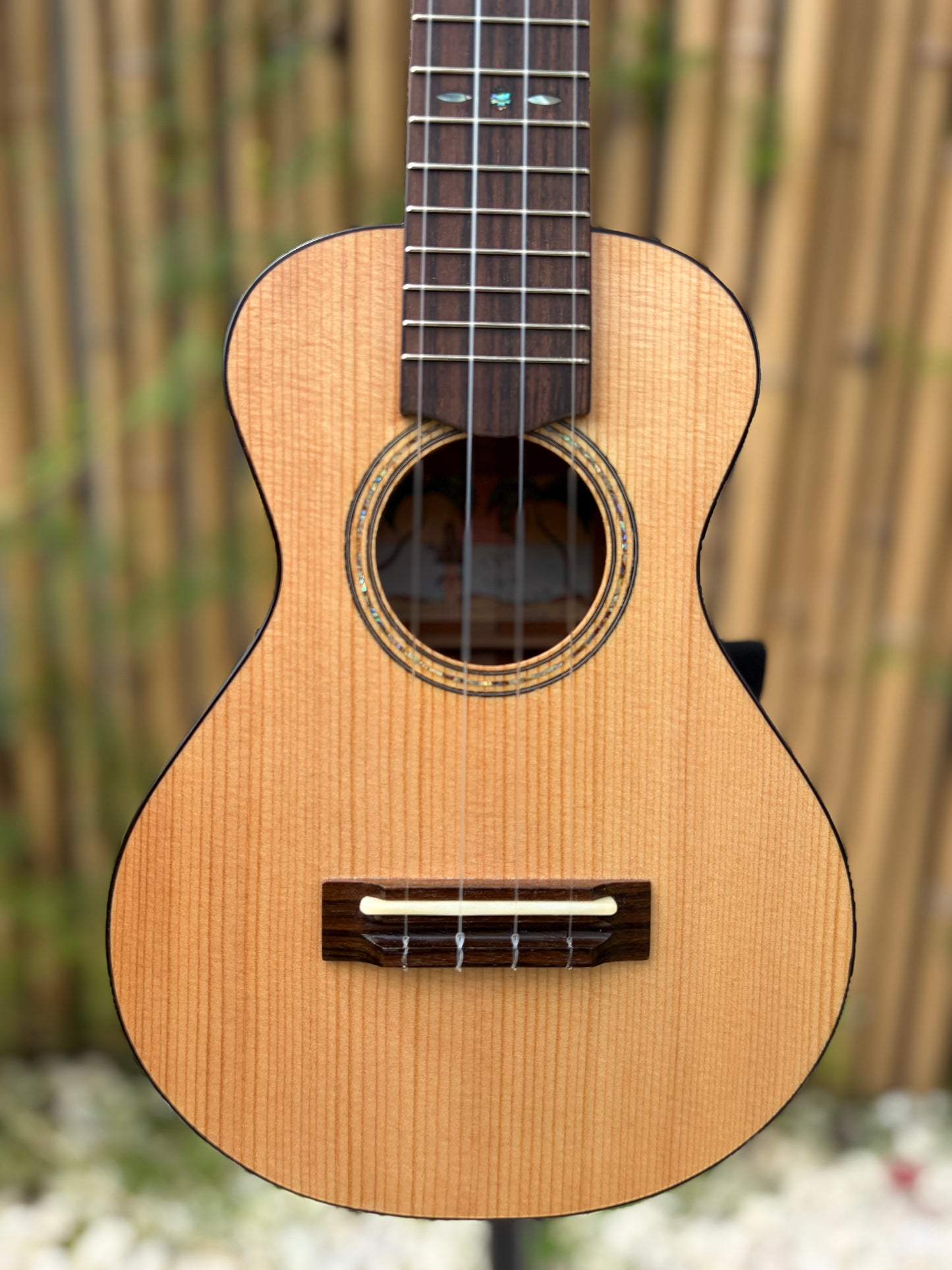 Yongensha German Spruce/ Honduran Mahogany Concert
