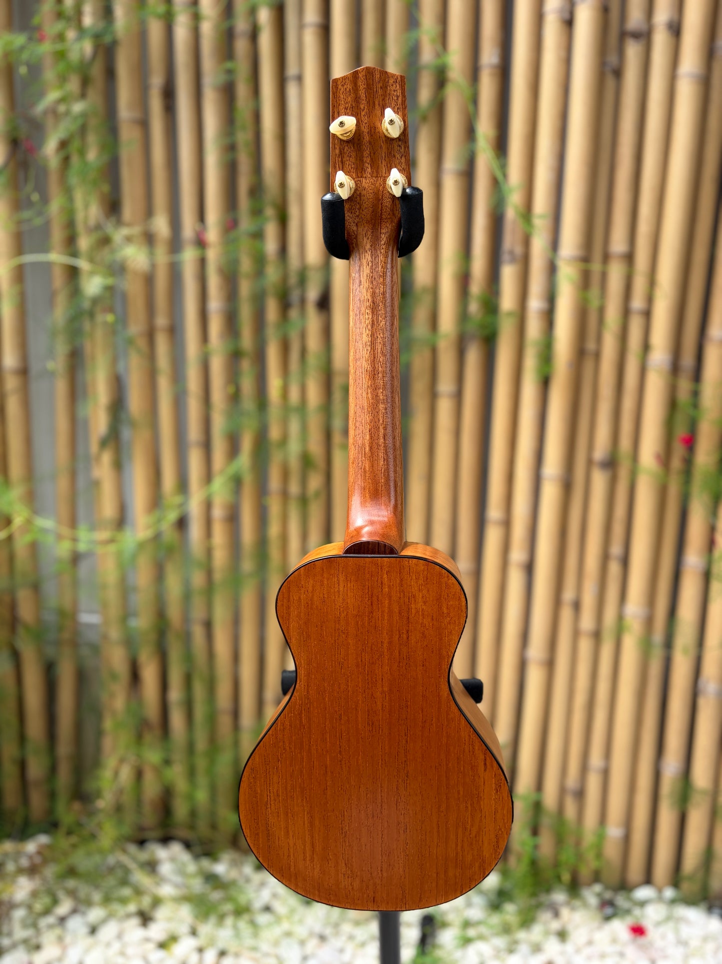 Yongensha German Spruce/ Honduran Mahogany Concert