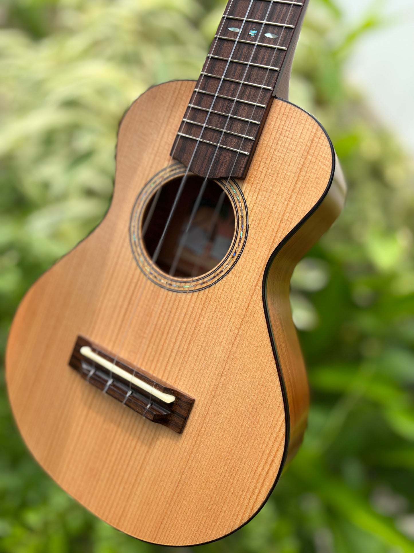 Yongensha German Spruce/ Honduran Mahogany Concert