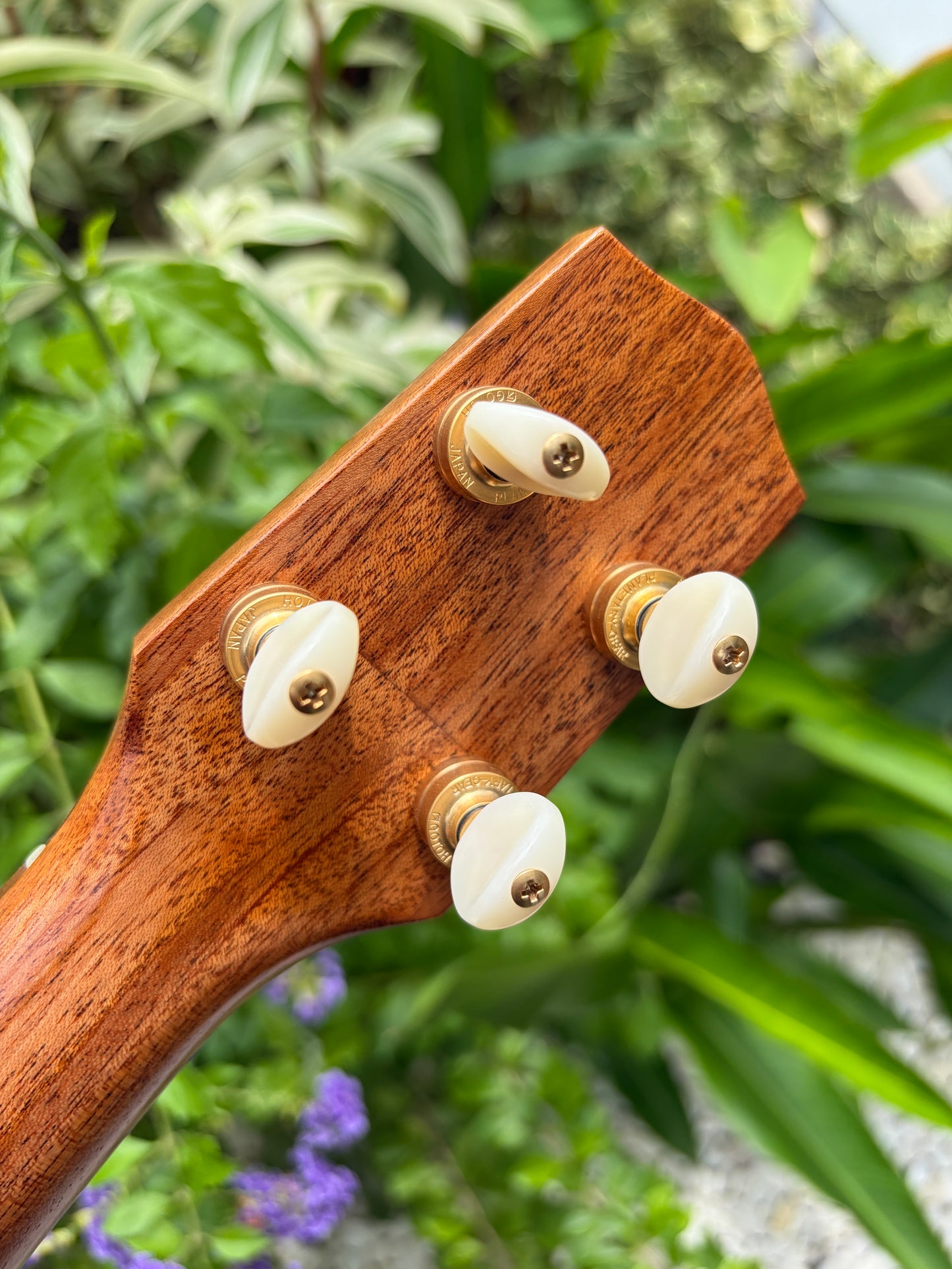 Yongensha German Spruce/ Honduran Mahogany Concert