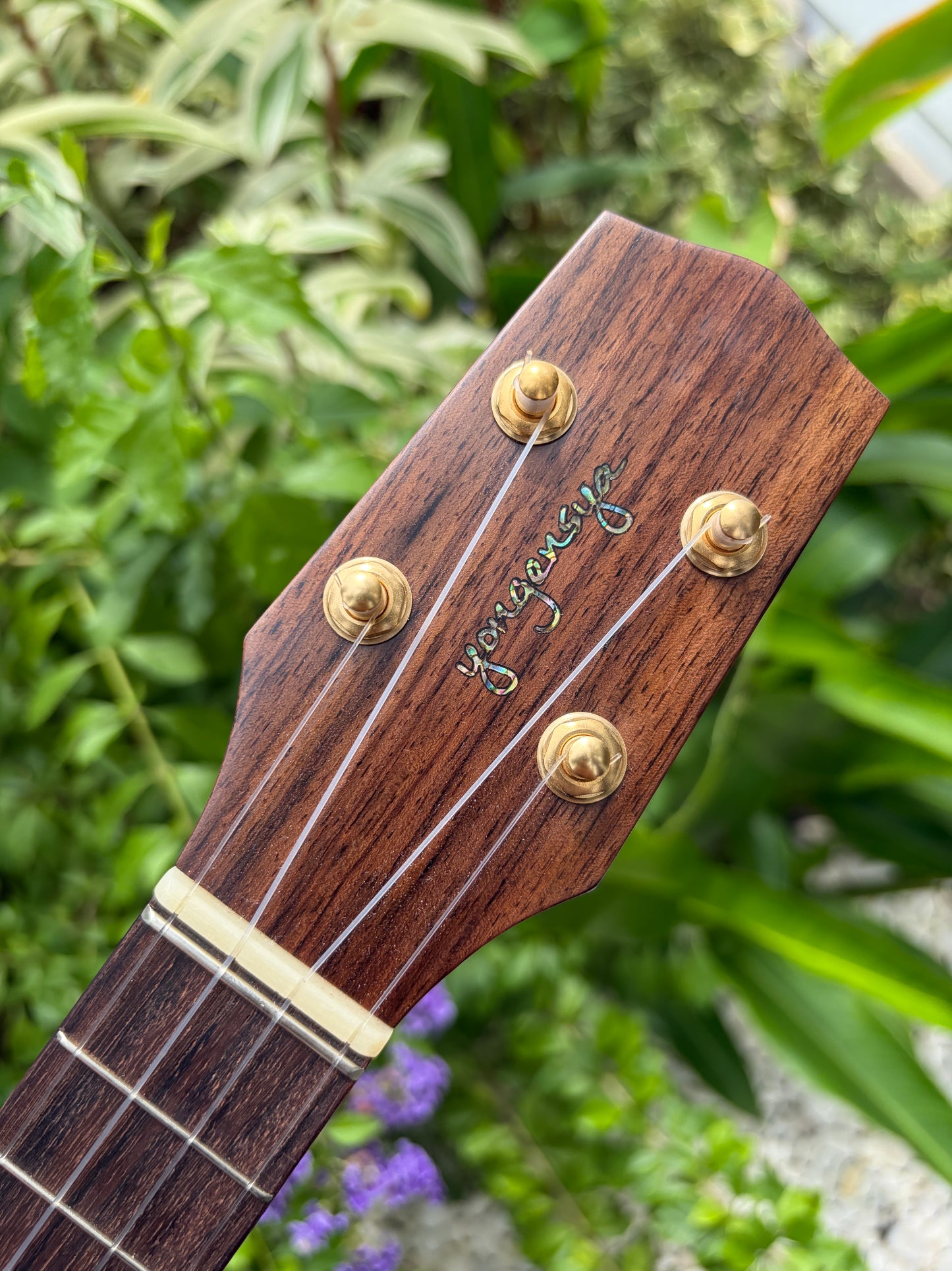 Yongensha German Spruce/ Honduran Mahogany Concert