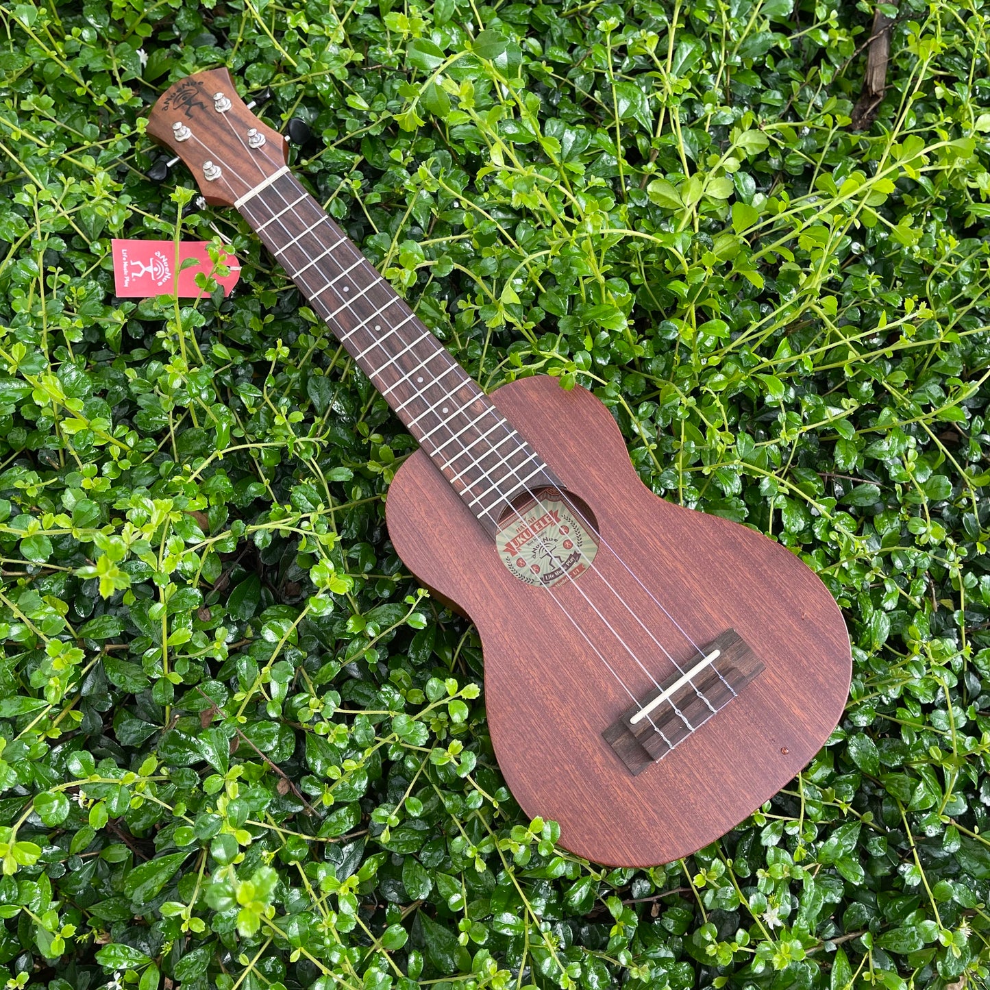 aNueNue U1 Soprano