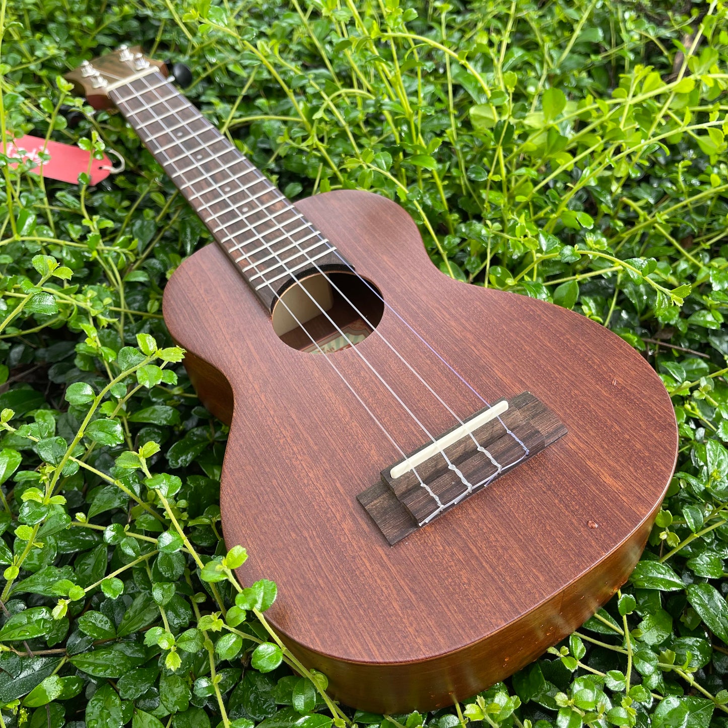 aNueNue U1 Soprano